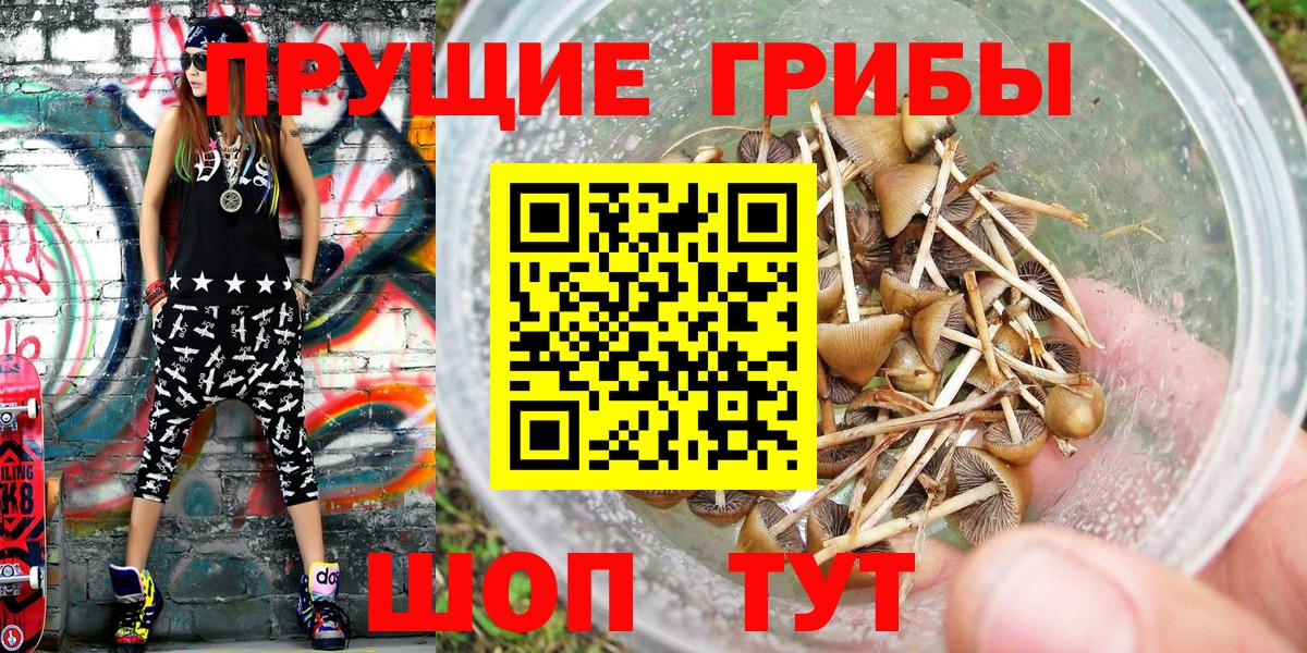 Псилоцибиновые грибы мухоморы  Вход с VPN  Камень-на-Оби  Галлюциногенные грибы MAGIC MUSHROOMS 